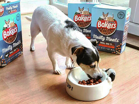 Dog eating from a bowl with Meaty Meats in the background